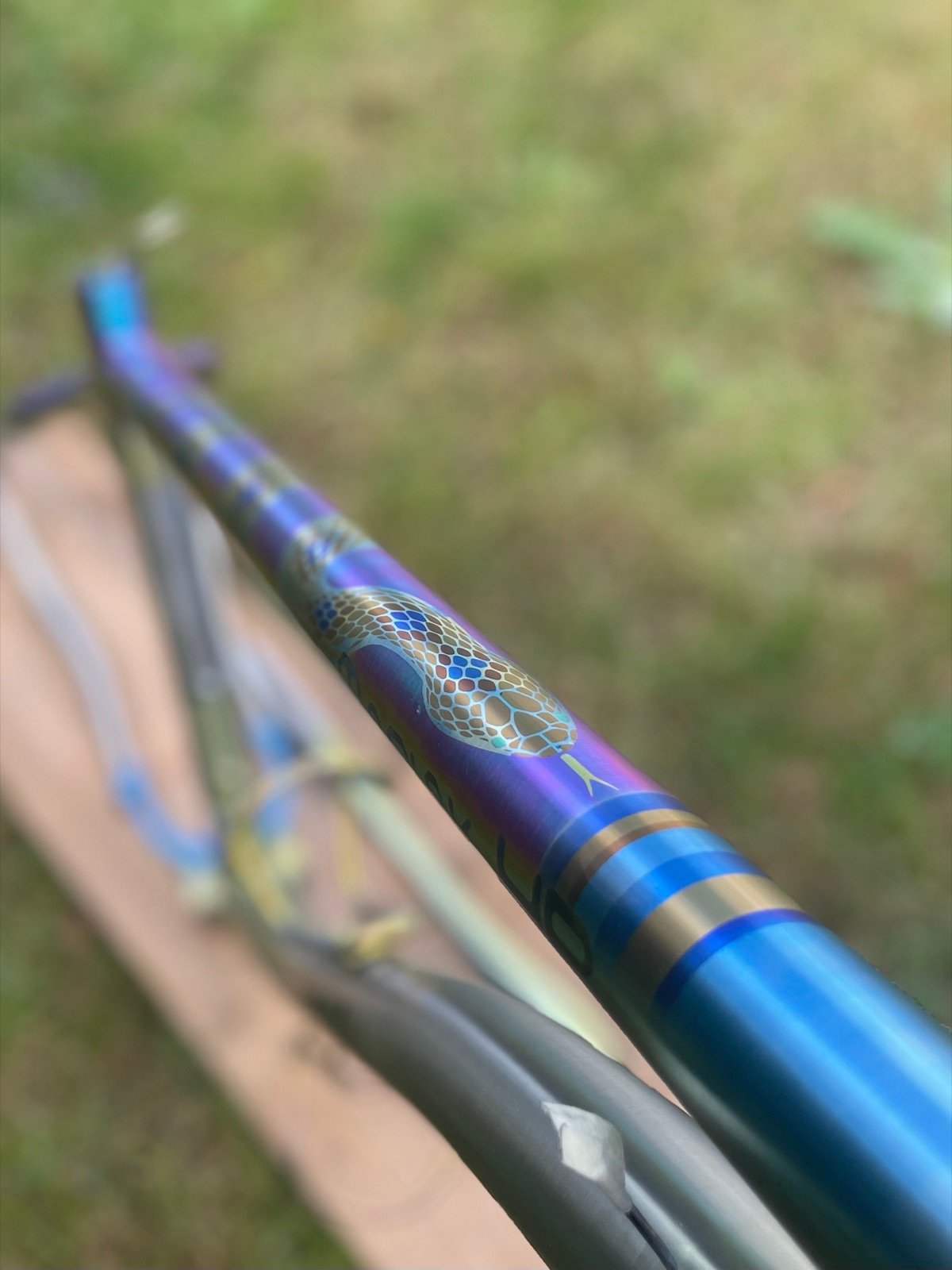 Close-up of a serpent graphic anodized on a top tube