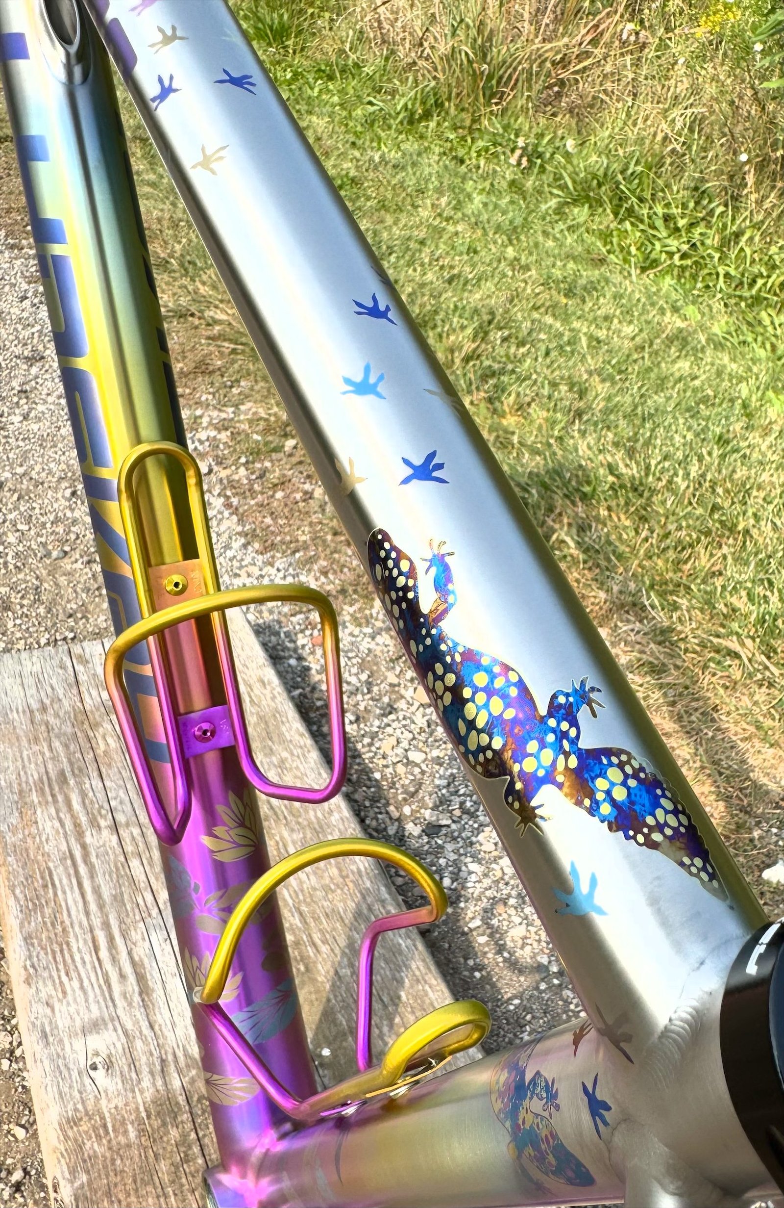 Anodized gecko graphic on a titanium top tube beside two anodized bottle cages