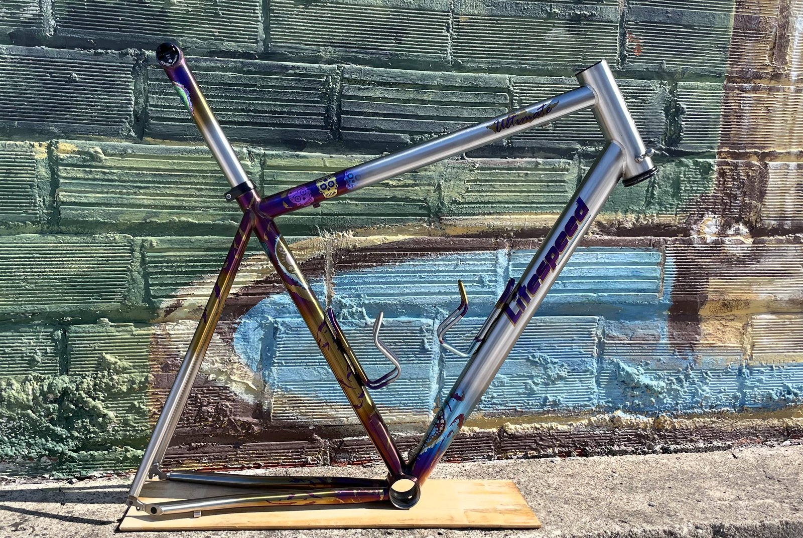Litespeed Ultimate titanium frame with custom sugar-skull anodizing
